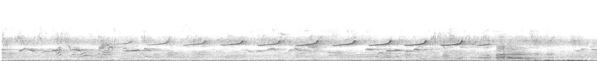 kukačka blýskavá - ML645202073