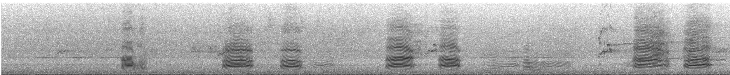 Южноавстралийский ворон - ML645202262