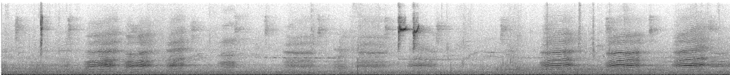 Южноавстралийский ворон - ML645202263