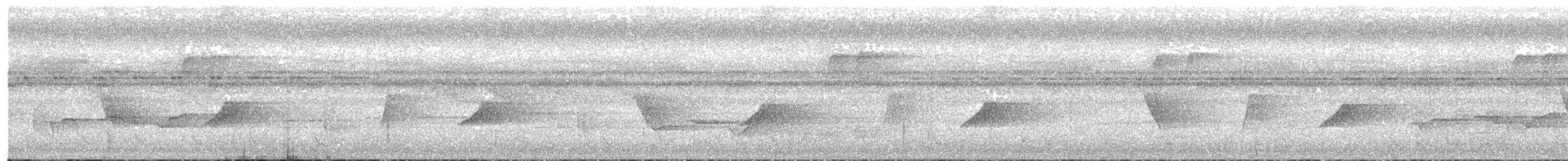 White-chested Babbler (Bornean) - ML645202302