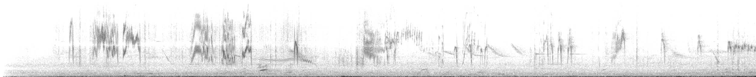 Buff-winged Cinclodes - ML645202375