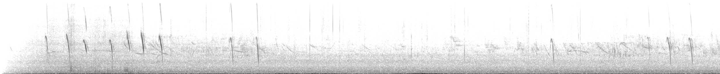 Buff-winged Cinclodes - ML645202376