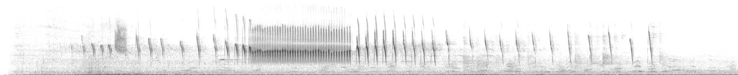 Buff-winged Cinclodes - ML645202377