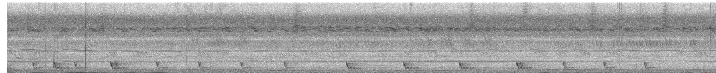 Koca Kuyruklu Çobanaldatan - ML645203432