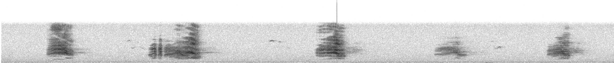 Hazar Sumrusu - ML645203775