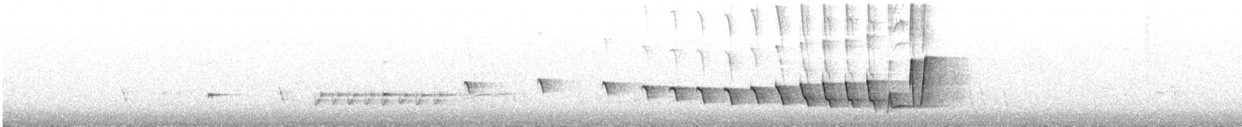 Noisy Scrub-bird - ML645204049