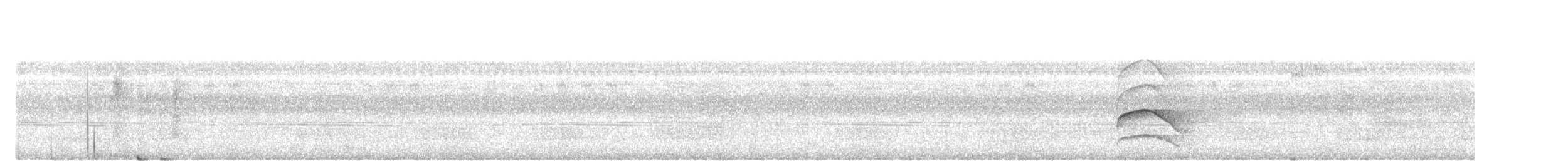 Banded Woodpecker - ML645204176