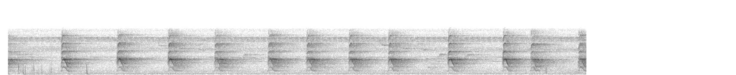 White-bellied Woodpecker - ML645204241