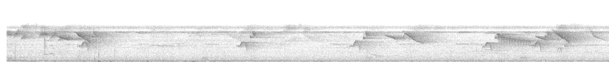 Black-and-yellow Broadbill - ML645204249