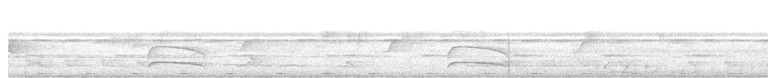 Black-and-yellow Broadbill - ML645204255