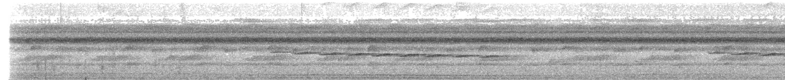 South American Leaftosser - ML645204734