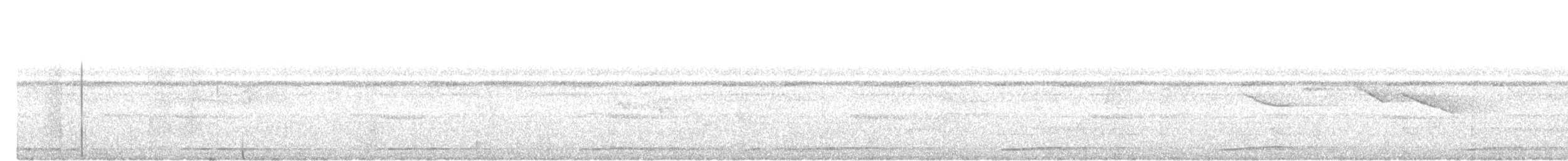 Great Argus - ML645204804