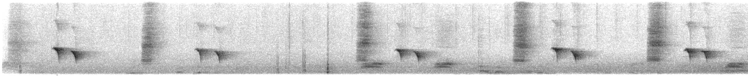 Ashy Drongo - ML645205072