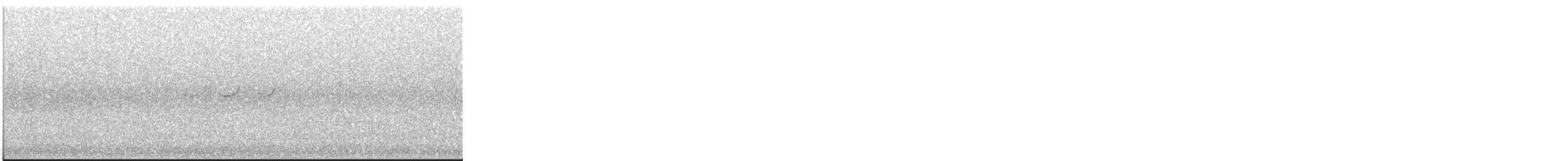 Solitary Sandpiper - ML645205081