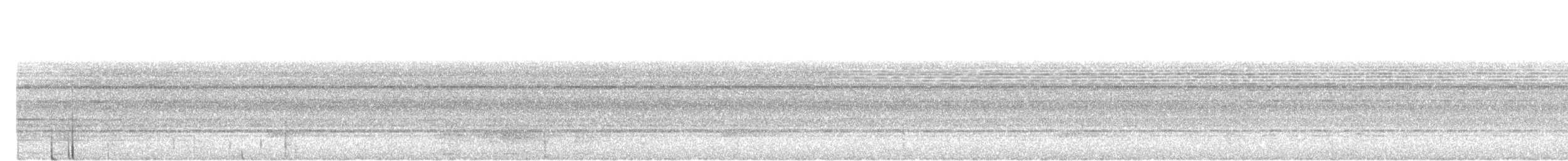 Black Hornbill - ML645205267