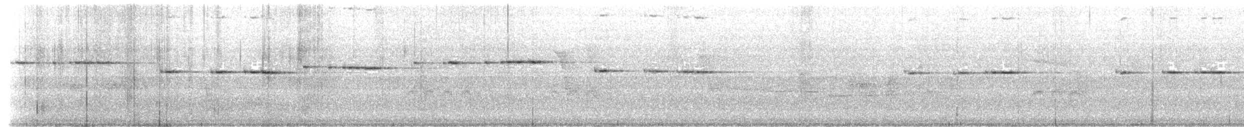 Fleckenbrust-Kurzschwanz - ML645205361