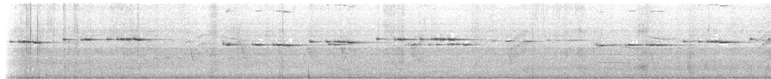 Fleckenbrust-Kurzschwanz - ML645205368