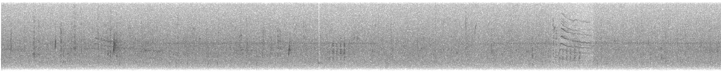 Least Flycatcher - ML645205784