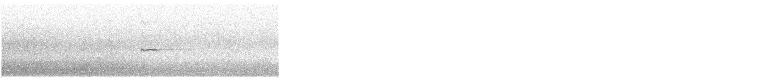 Chorlitejo Culirrojo - ML645205960