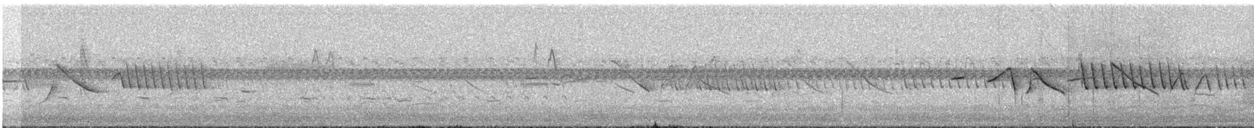 Tinamú Manchado - ML645206155