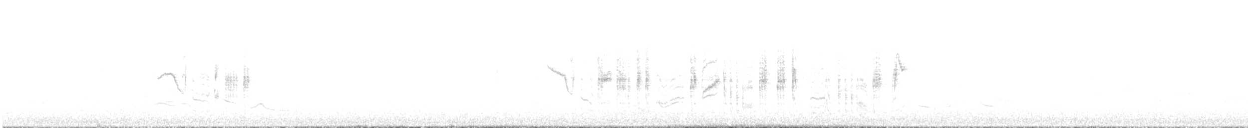 Curruca Cabecinegra - ML645206773