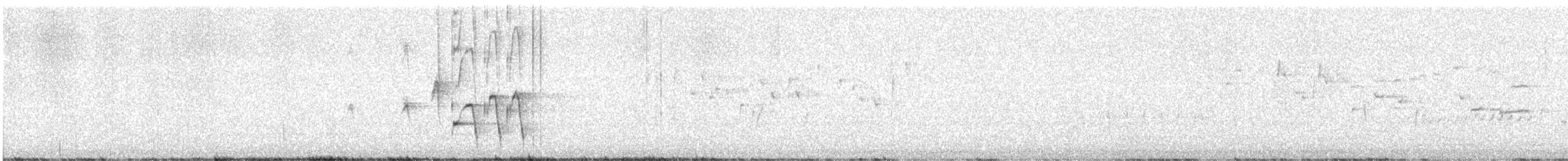 Белолобый медосос - ML645207768