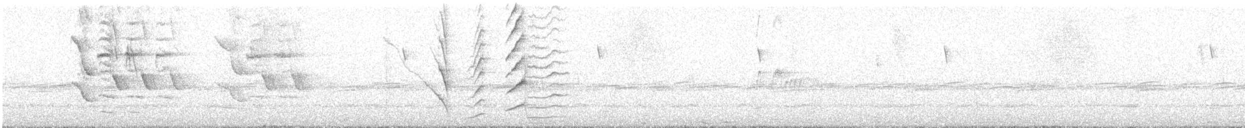 Карибский гракл - ML645207919