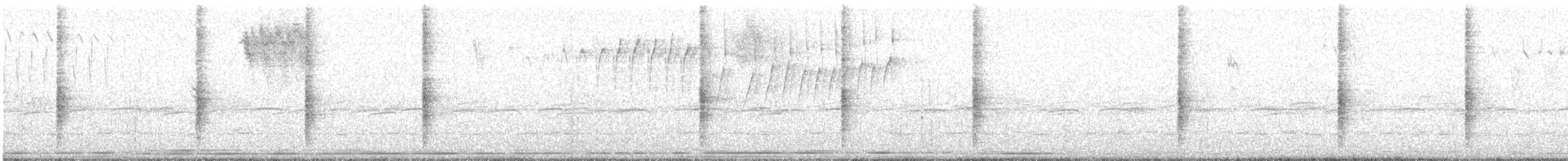 Карибский гракл - ML645207920