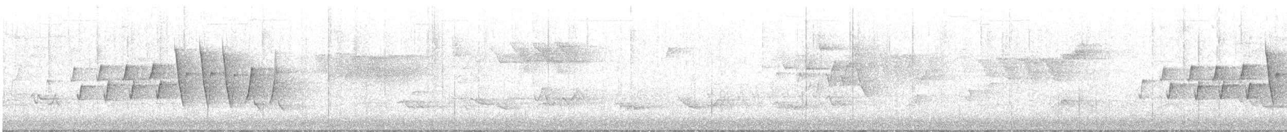 Northern Waterthrush - ML645209147