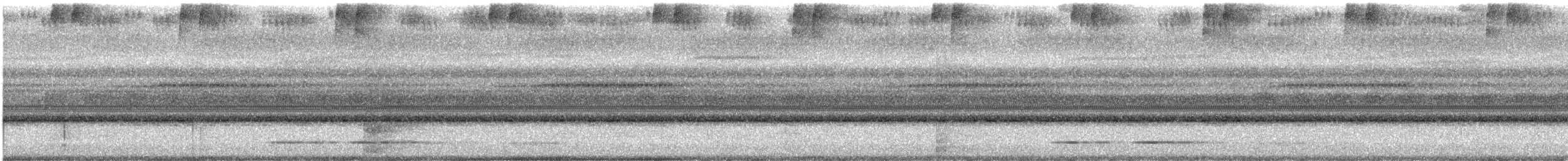 Пятнистая сплюшка - ML645210083