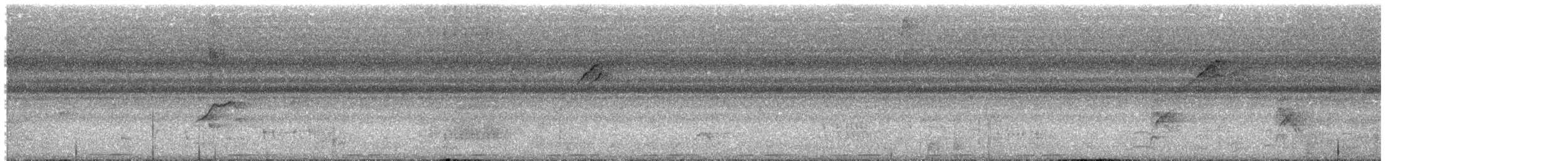 Gilded Barbet - ML645210657