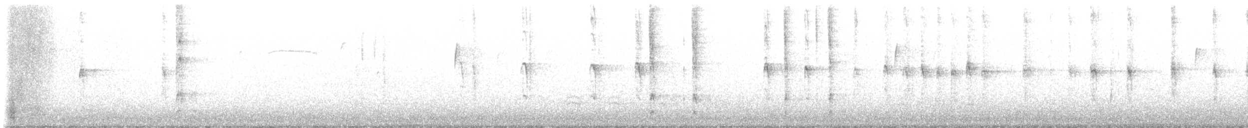 American Red Squirrel - ML645211126