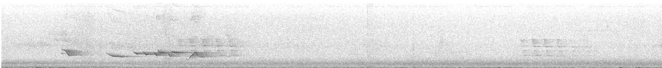 trupiál baltimorský - ML645211273