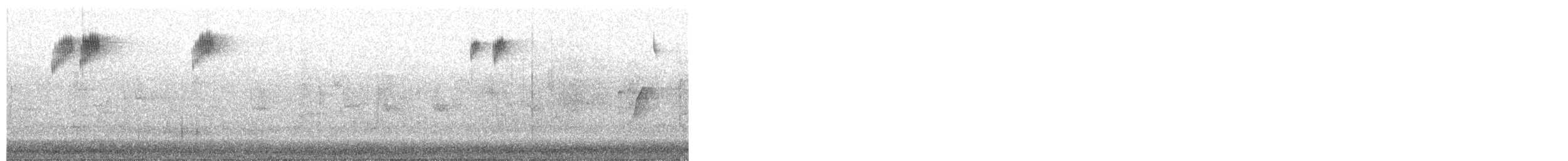 králíček obecný - ML645211330