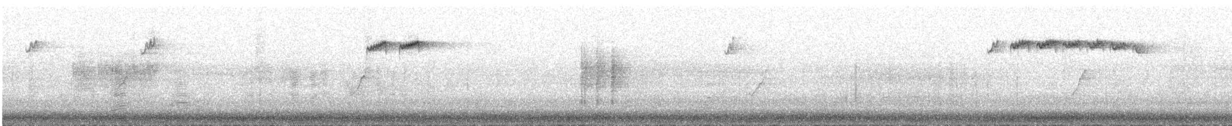 králíček obecný - ML645211331