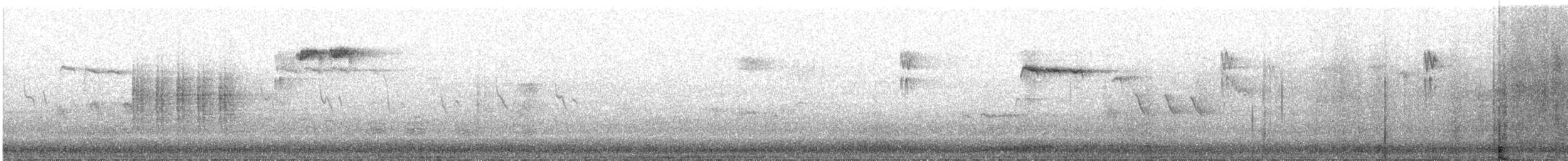 králíček obecný - ML645211332