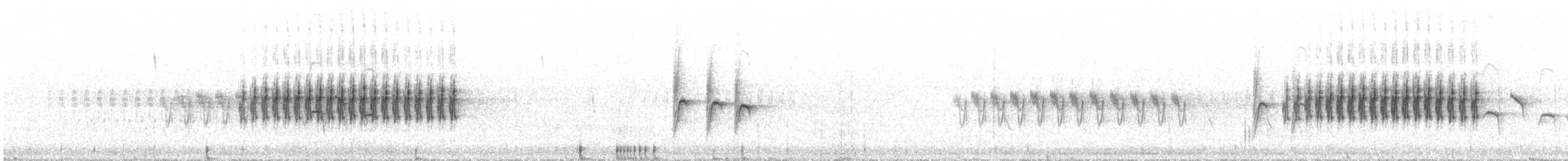 strnad cvrčivý - ML645211387