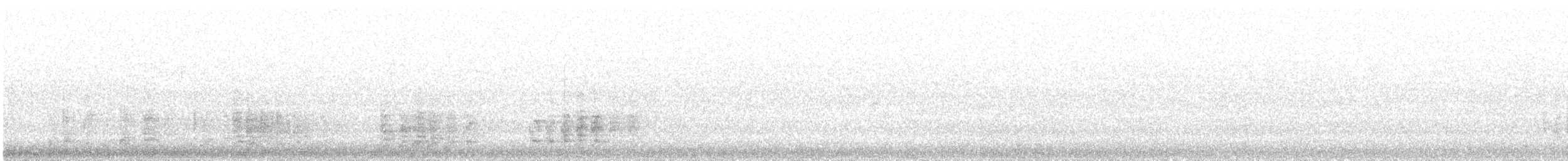 sup bělohlavý - ML645211559