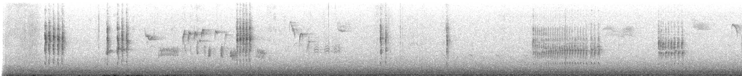 střízlík kanadský - ML645211671