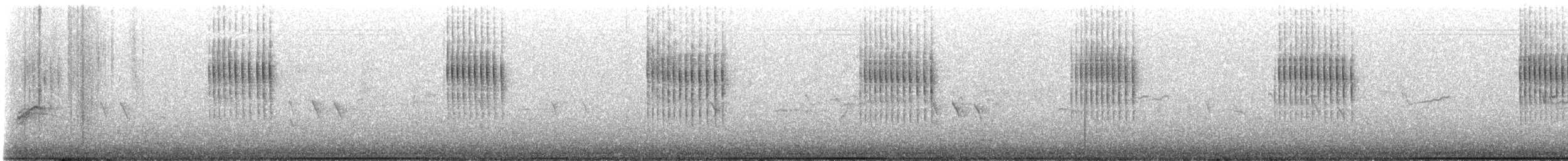 střízlík kanadský - ML645211672