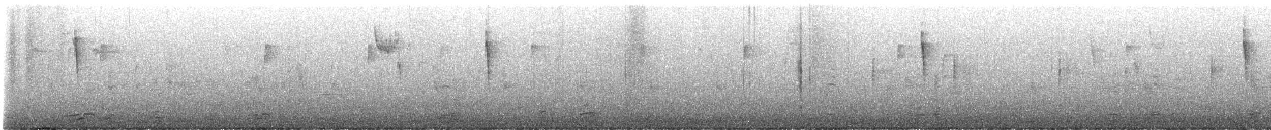 Tennessee Warbler - ML645211692