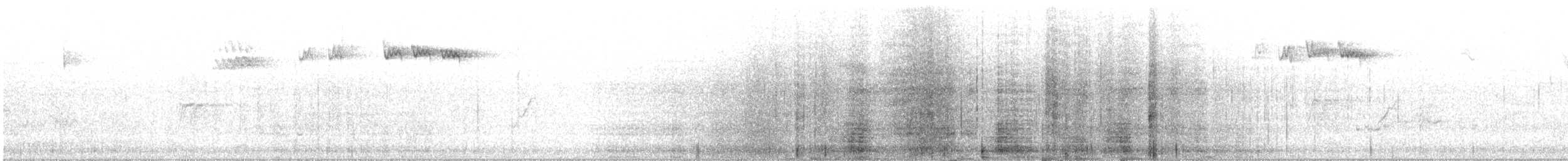 králíček obecný - ML645211711