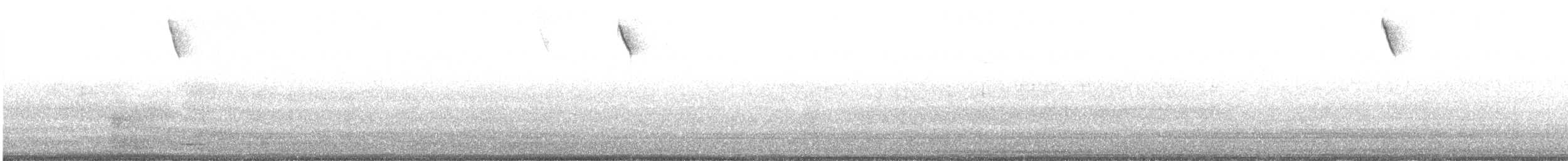 Rufous-winged Sparrow - ML645211774