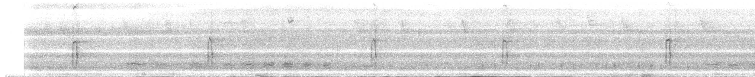 strakapoud americký [skupina harrisi] - ML645211908