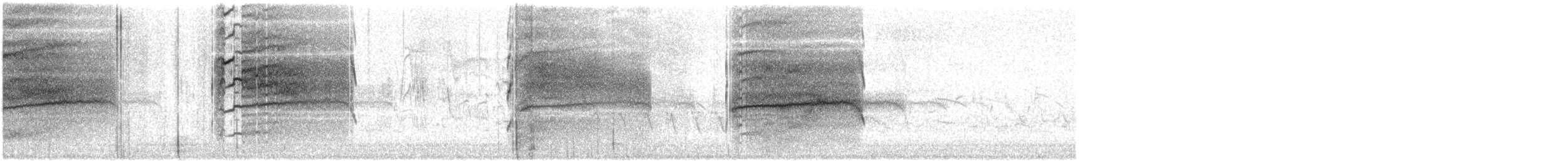 pisík obecný - ML645212143