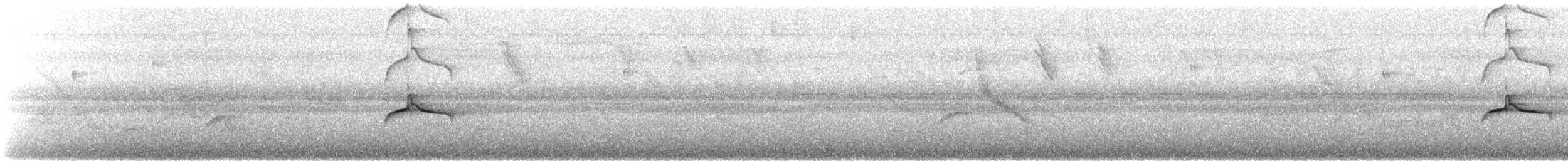 Piratic Flycatcher - ML645213365