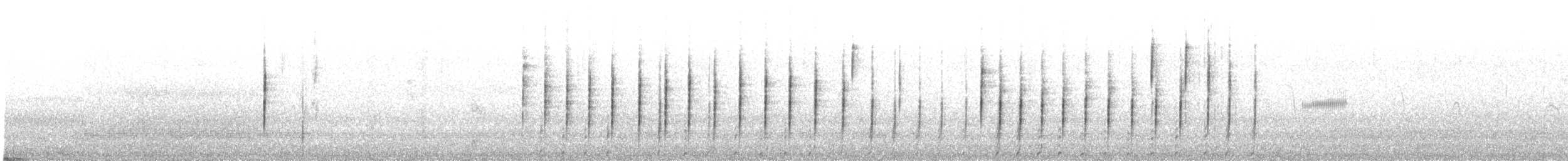 křepel kalifornský - ML645213515