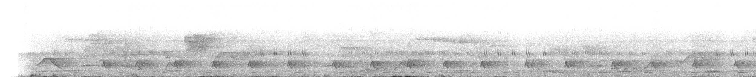 bird sp. - ML645213565