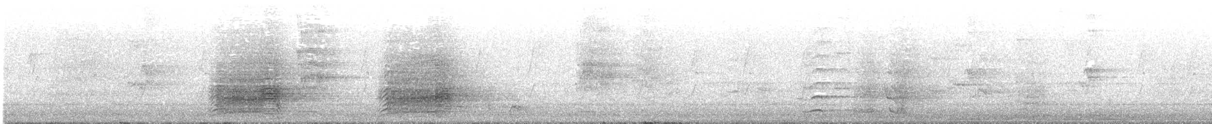 Sulphur-crested Cockatoo - ML645214241