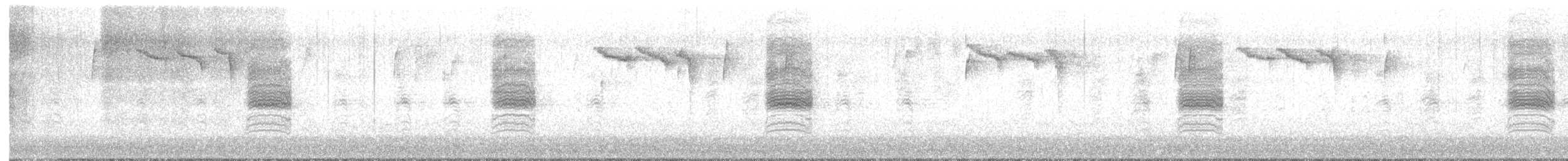 Northern House Wren - ML645214900